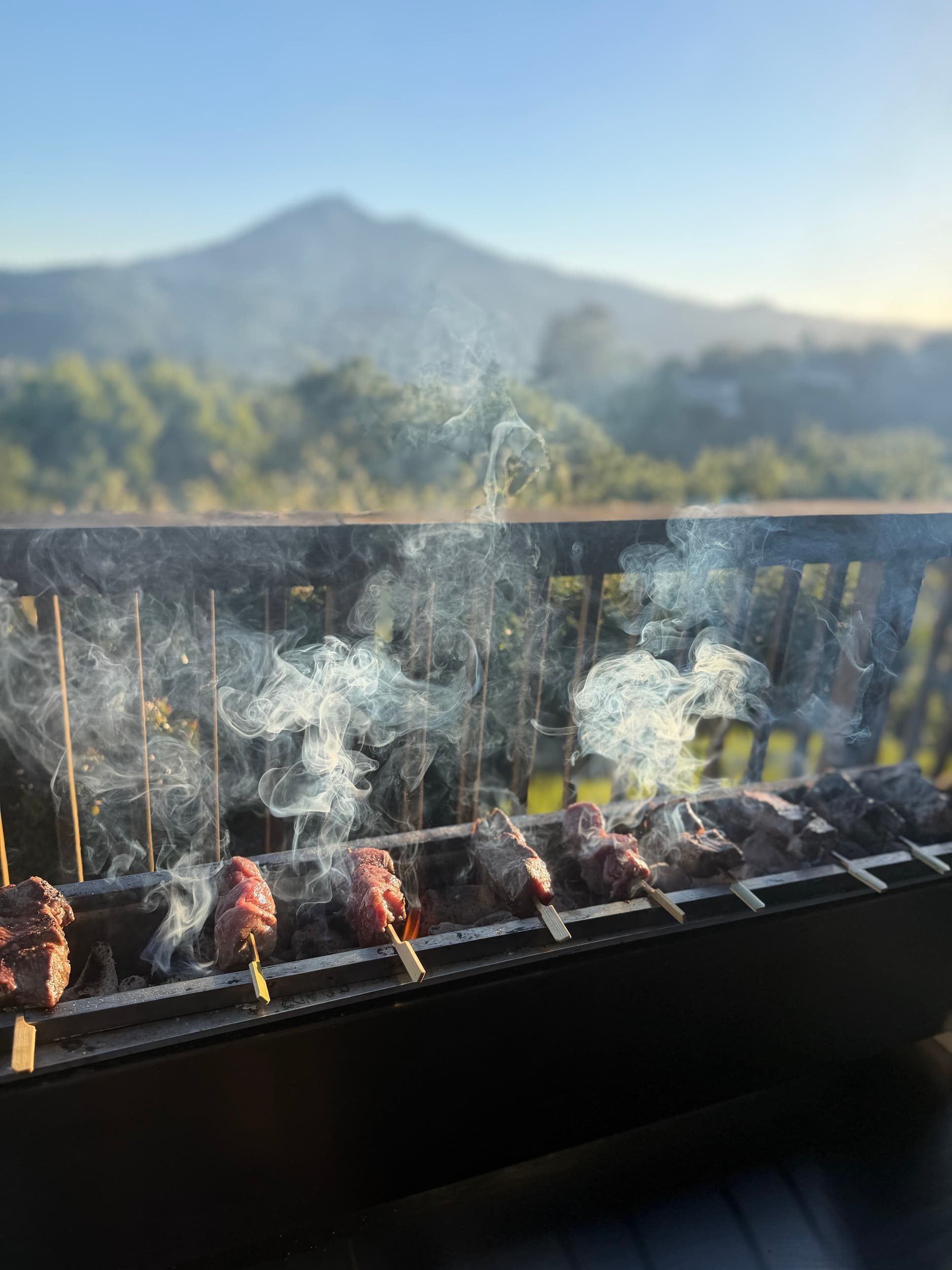 Skewers smoking over binchotan on a deck rail, with Mount Tamalpais behind